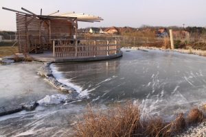 Schwimmteich im Winter