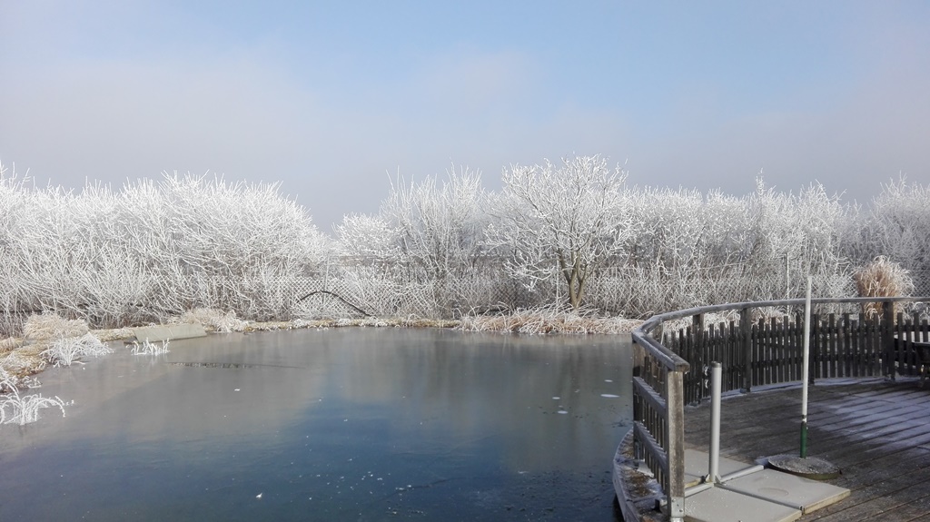 winter-teich