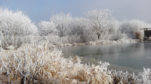 winter-teich